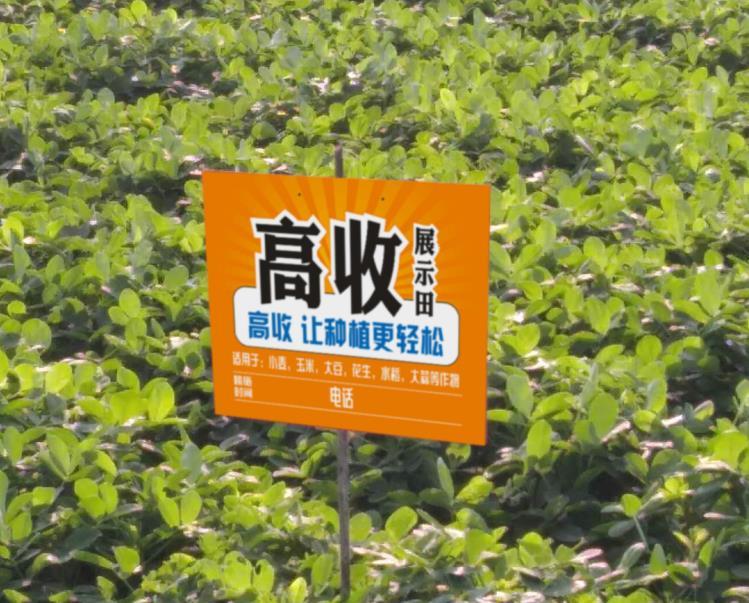 满冠体育- 阿尔特塔轮换策略收奇效  